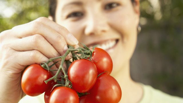 Os Cinco Legumes E Verduras Que Voce Pode Cultivar Em Casa E O Bem Que Eles Fazem Bbc News Brasil Encontre imagens stock de moldura de comida orgânica. os cinco legumes e verduras que voce