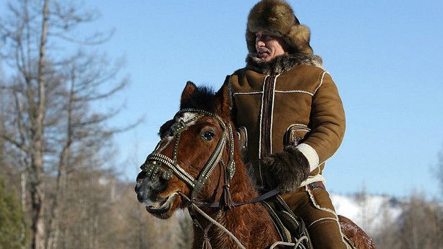 Фото Путина На Коне Без Рубашки Фото Путина На Коне Без Рубашки