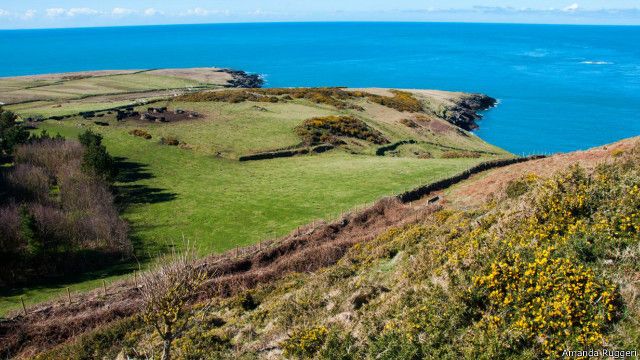 Pulau mungil dengan empat penduduk dan 20 ribu kuburan - BBC ...