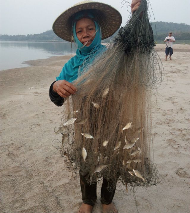 Ở nhiều quãng sông Mekong, cá chỉ còn bé như vậy