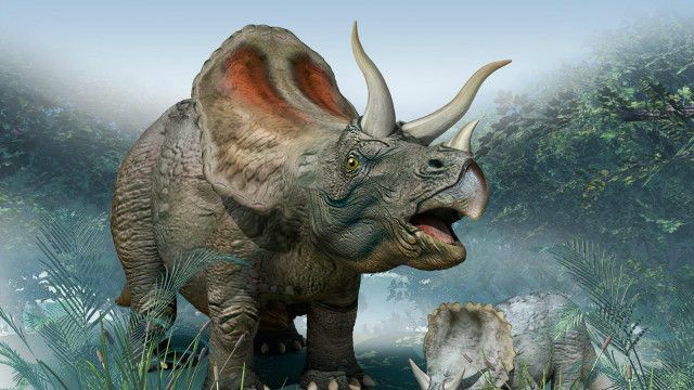 Apa Yang Terjadi Setelah Dinosaurus Punah Bbc News Indonesia