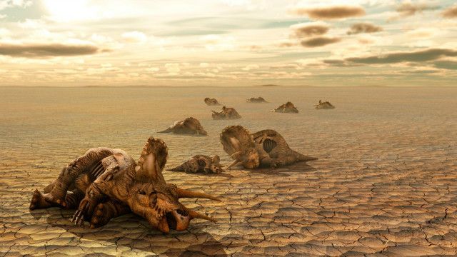 Apa Yang Terjadi Setelah Dinosaurus Punah Bbc News Indonesia