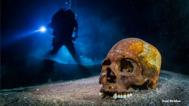 Cráneo descubierto en el proyecto Gran Acuífero Maya
