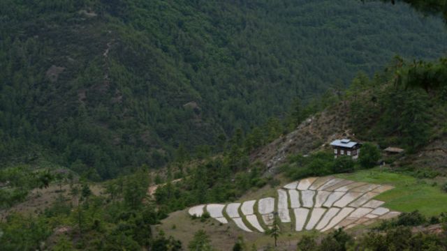 帕羅山谷(Paro Valley)