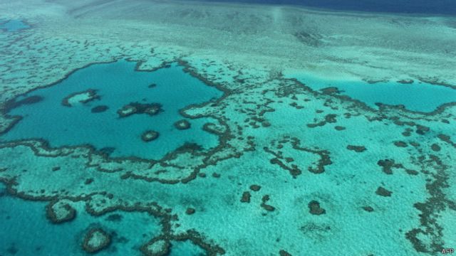 Ученые несколько месяцев исследовали кораллы с воздуха и под водой.