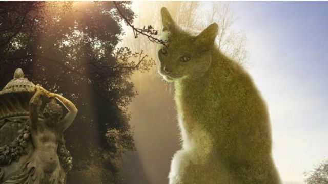 Котокусты британского художника завоевывают соцсети - BBC News Русская  служба