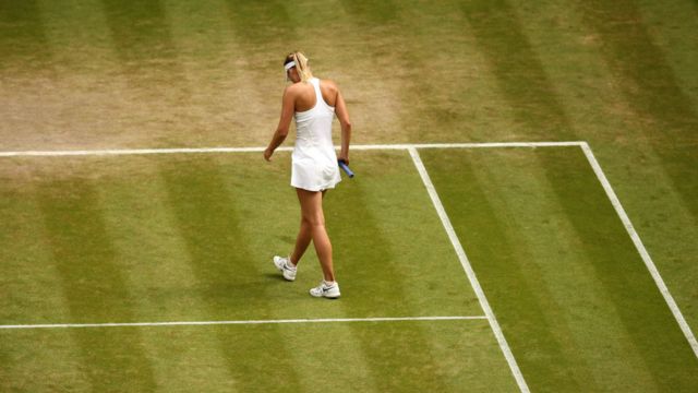 莎拉波娃禁赛 低谷的背后 Bbc News 中文