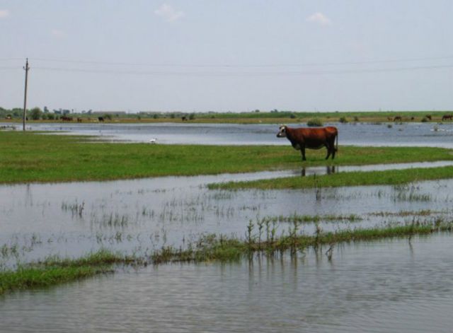 Спалах інфекцій пов'язують із сильними дощами та підтопленням
