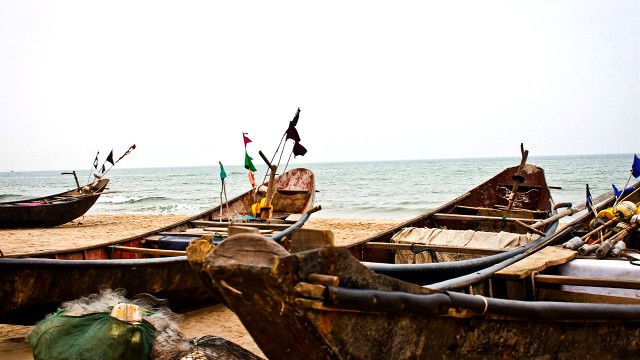 Báo cáo của Uỷ ban Trung ương Mặt trận Tổ quốc Việt Nam cũng nêu, cử tri và nhân dân phản ánh tình trạng ô nhiễm môi trường và suy kiệt tài nguyên thiên nhiên ngày càng nghiêm trọng.