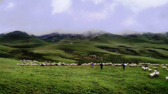 badimalika, nepal, farwest, nature