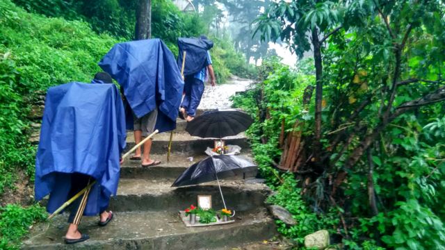 badimalika, nepal, farwest, nature