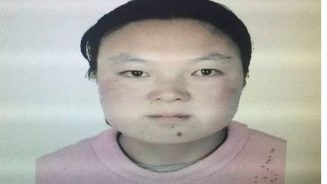 杨改兰案件 从官员处理到盛世蝼蚁现象 c News 中文