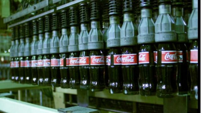 可口可樂背後的神奇植物 可樂果 c 英伦网