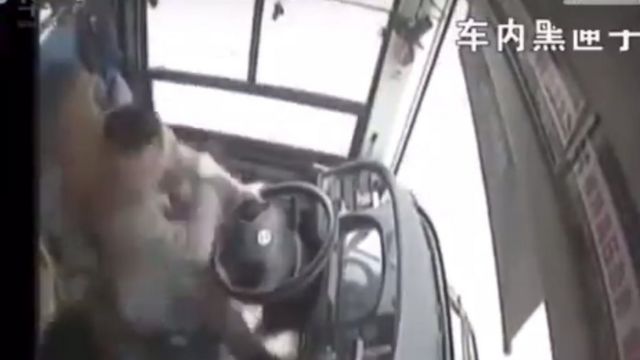 Driver of the bus strikes the passenger