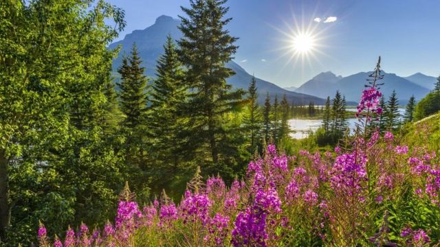 满怀希望能给你带来五大意想不到的好处- BBC 英伦网