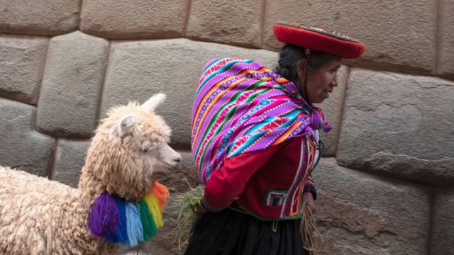 Mujer indígena peruana tirando de su alpaca.
