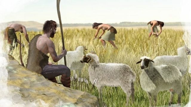 Agricultura no período neolítico