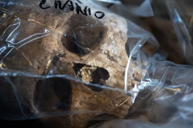 Cráneo hallado en las excavaciones en una bolsa de plástico transparente