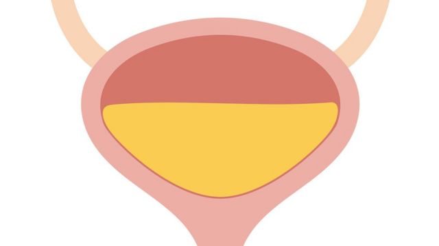 núcleo todo lo mejor Engaño Algunas preguntas (y respuestas) sobre la eyaculación femenina - BBC News  Mundo
