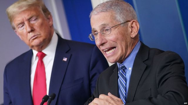 Dr Fauci and President Trump