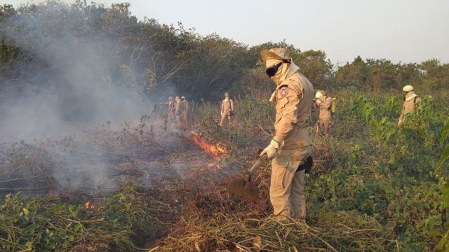 Equipes atuam intensamente no combate às chamas que tomaram conta do Pantanal nos últimos meses