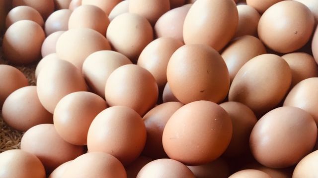 Acumulativo Gruñido Arrugas 8 datos fascinantes sobre los huevos, uno de los alimentos más nutritivos  del mundo - BBC News Mundo