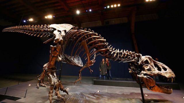 Esqueleto de un tiranosaurio
