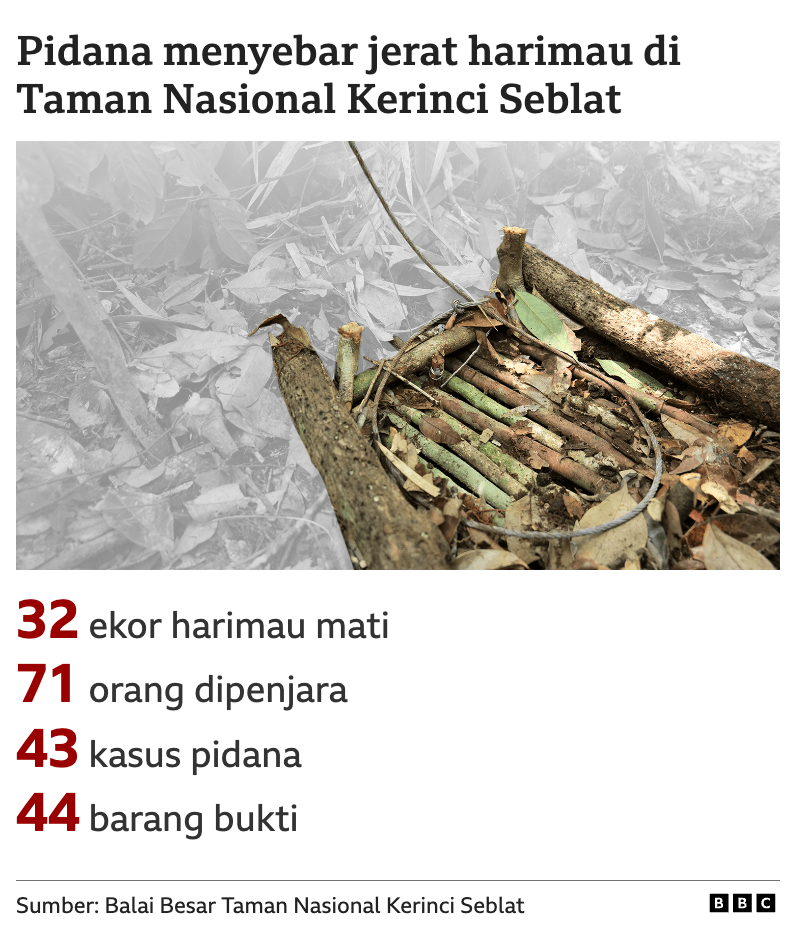 Cara Bunuh Specimen 043 di Hutan