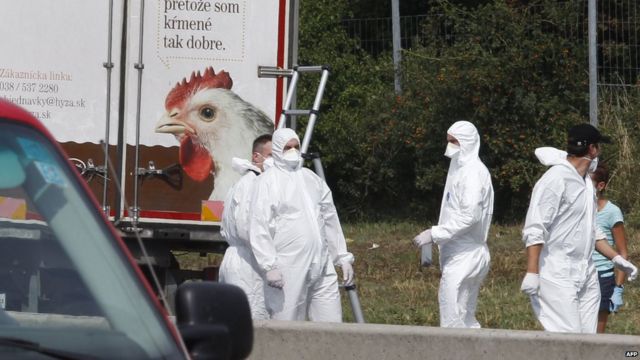 Migrant crisis: Grim find of bodies in Austria lorry