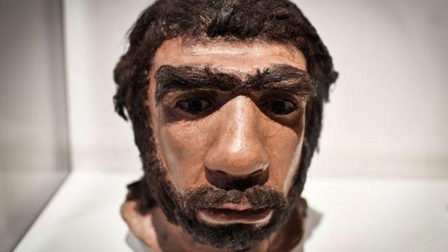 Rostro de un neardental