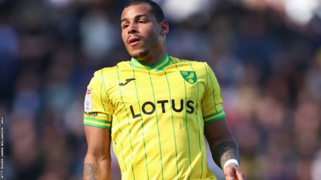 Onel Hernandez: Norwich City winger and his country's curious