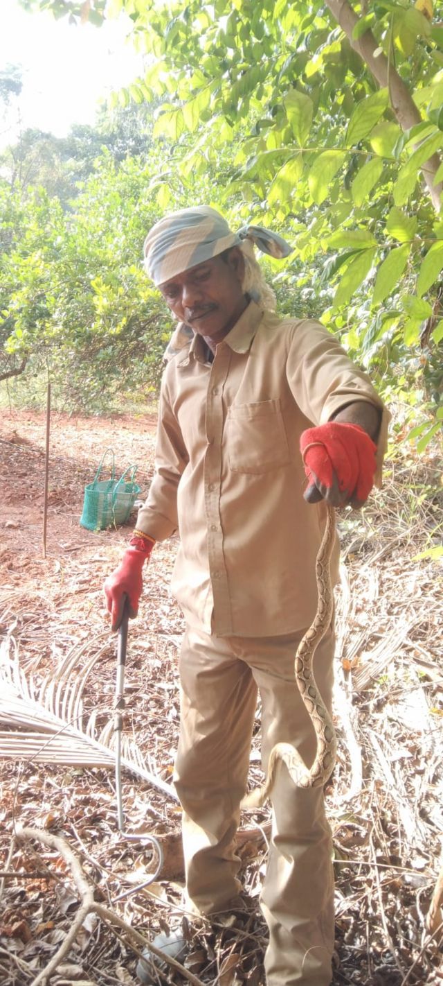 பாம்பு பிடி வீரர்கள்