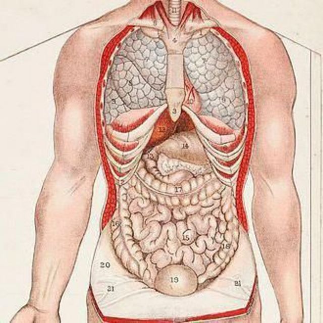 வயிறு