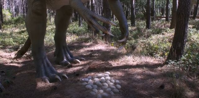 டைனோசரின் மூன்றாவது முட்டை கூடு