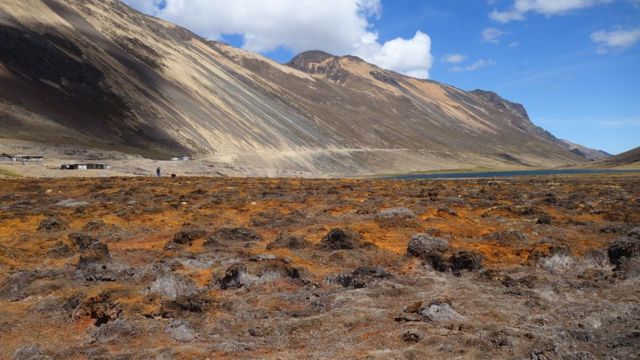 Área pantanosa nos Andes