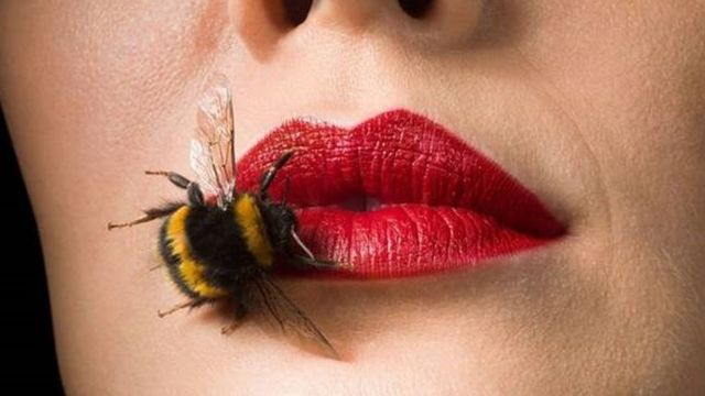 Rosto de uma mulher, mostrando sua boca com batom vermelho, e uma abelha em cima