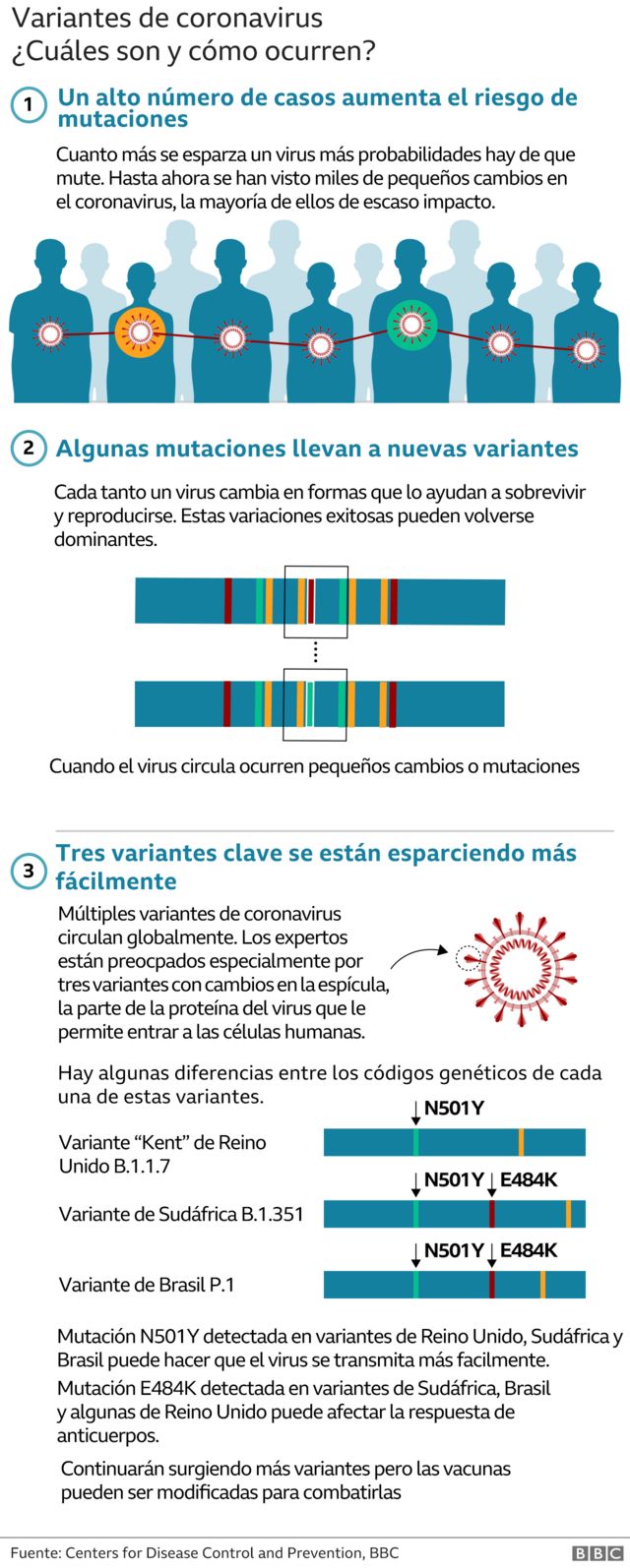 Gráfico sobre las nuevas variantes de coronavirus