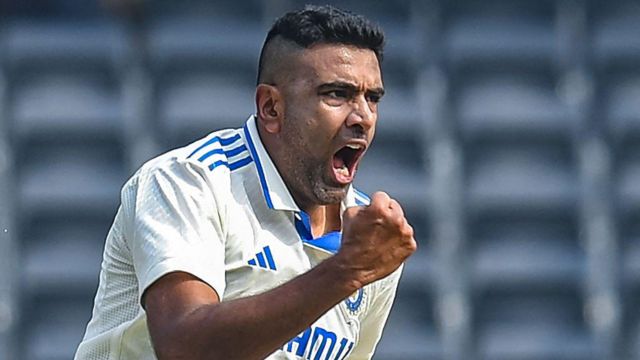 ரவிச்சந்திரன் அஸ்வின், கிரிக்கெட்