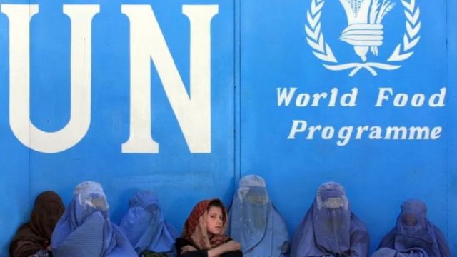 The Taliban banned women from working at the United Nations