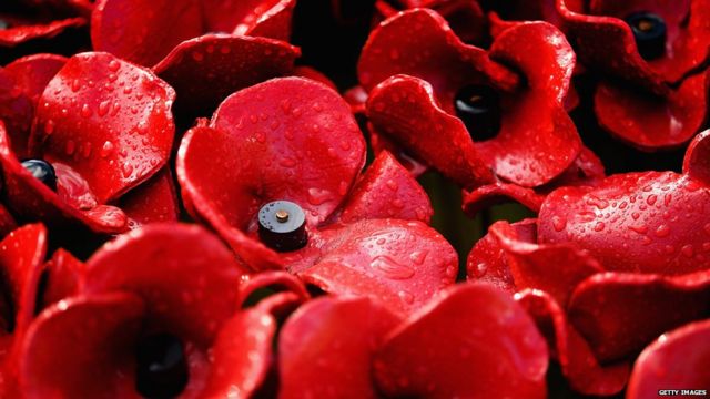 crane Brace Majestic Remembrance poppy: Controversies and how to wear it - BBC News