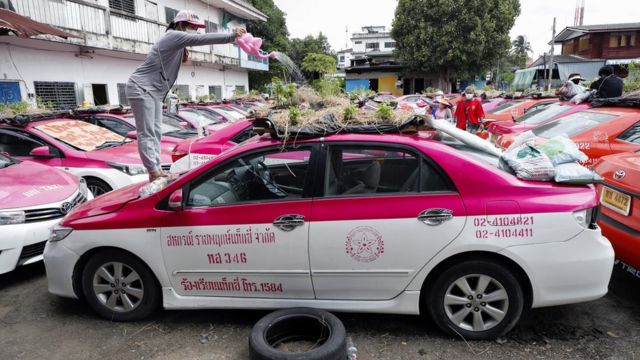 A worker watering plants on the roof of an abandoned taxi.
