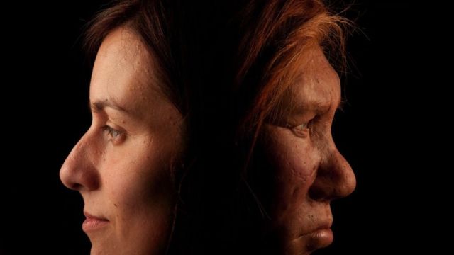 неандертальська жінка