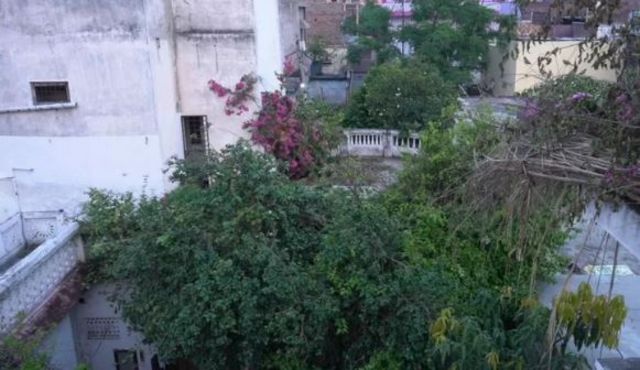 சிட்டு குருவி, இயற்கை, சுற்றுச்சூழல்