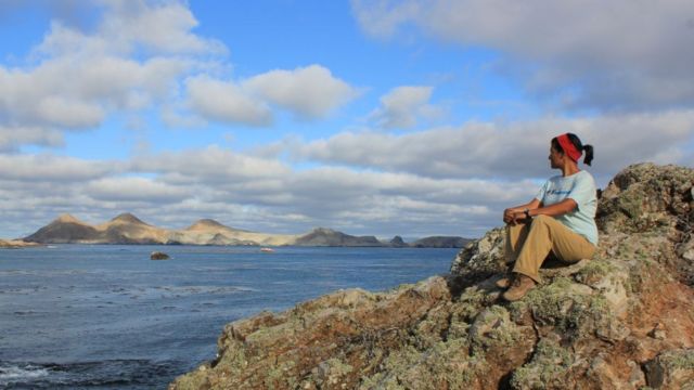 Bedolla sentada sobre rocas mirando hacia el mar