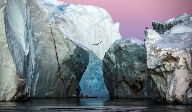 Icebergs are seen at the at the mouth of the Jakobshavns ice fjord during sunset near Ilulissat, Greenland