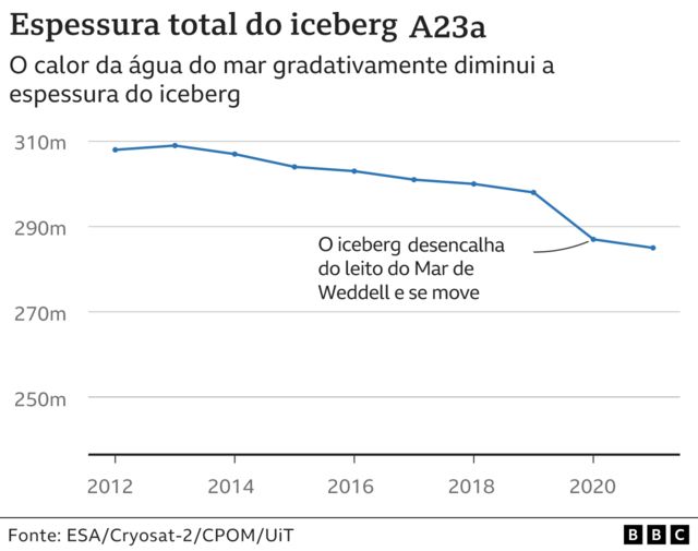 Grafico