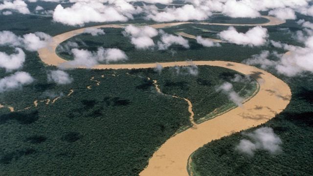 Imagem aérea do Rio Japurá