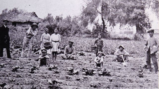 Campesinos japoneses en Perú
