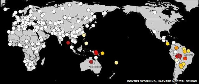 map showing genetic similarities