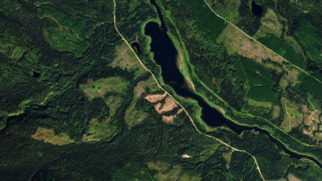 Satellite images show logged forests in the Canadian province of British Columbia.